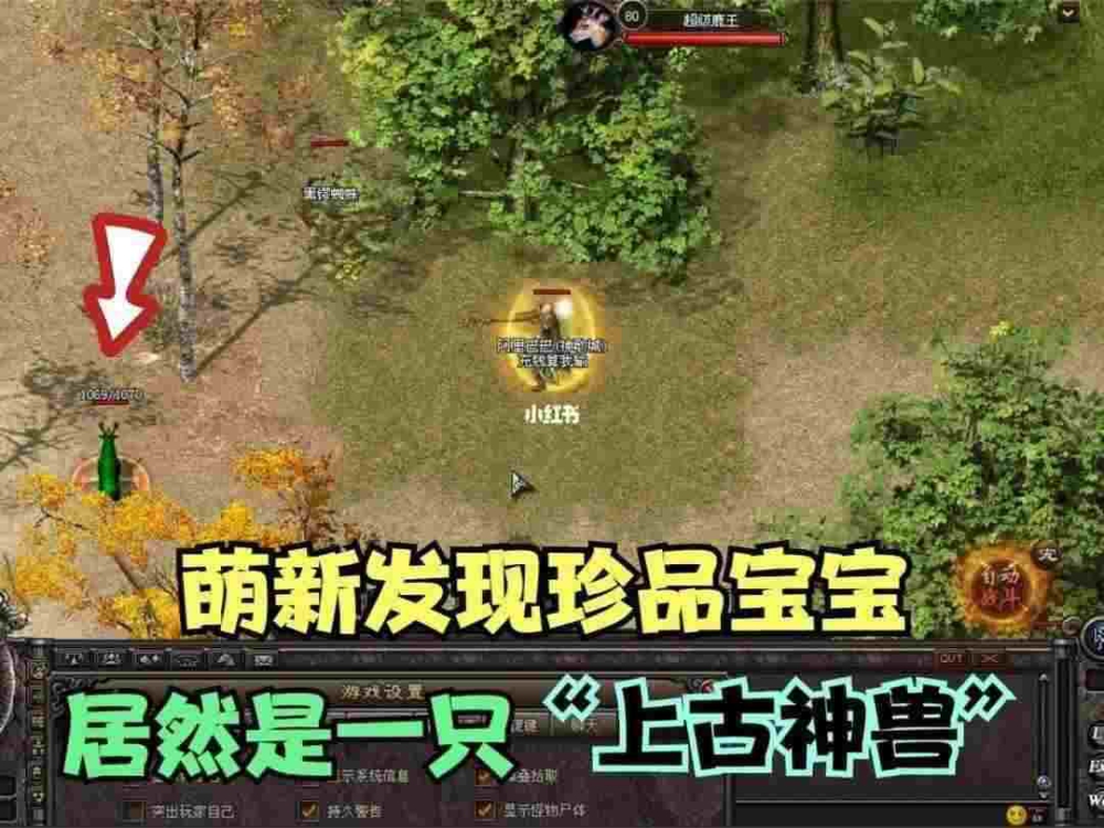 山东省网通传奇私服玩法师的深刻体会分享